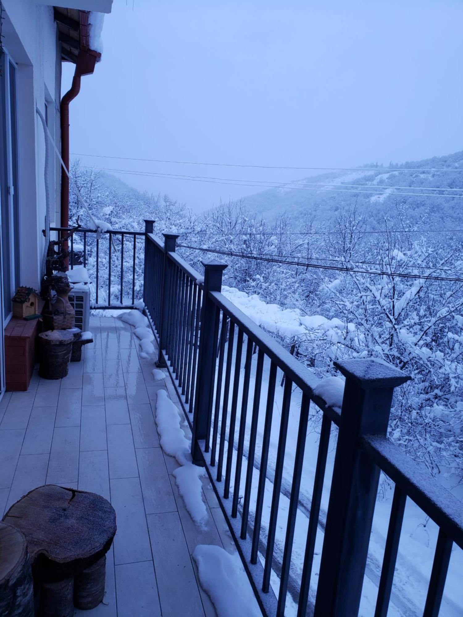 The Nature Sighnaghi